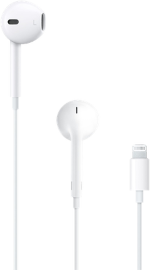 Восстановление после попадания влаги Apple EarPods (Lightning Connector)